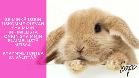 Eläinkokeista on luovuttava