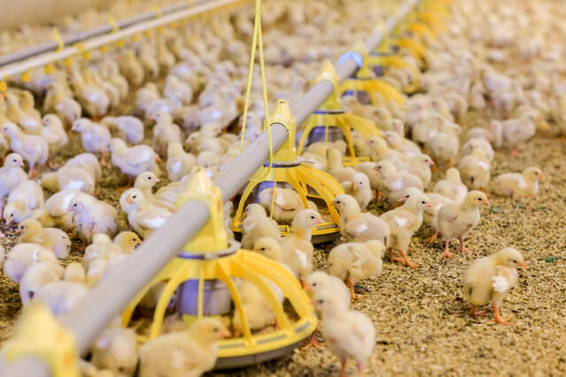 Parlamentti hyväksyi uudistuksen yhteisen maatalouspolitiikan uudistuksen